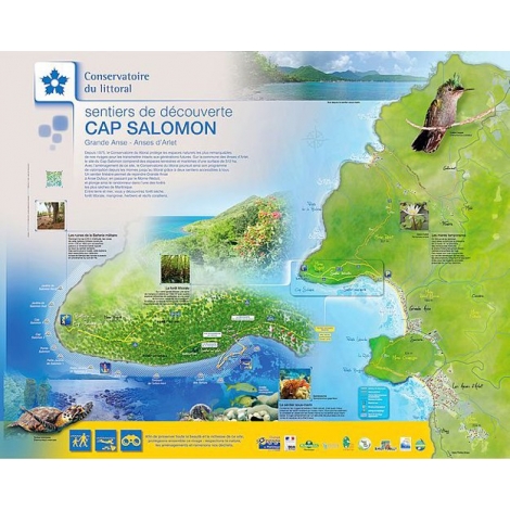 Randonnée à Grand Anse - Le samedi 18 mai 2025