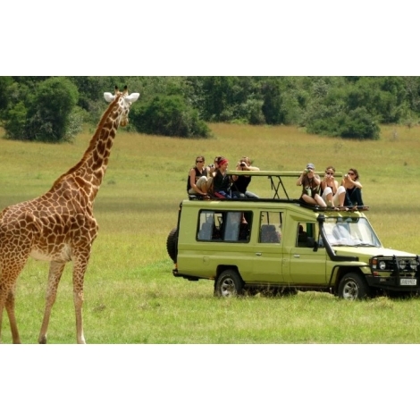 AFRIQUE DU SUD DU 11 AU 25 JUILLET 2023